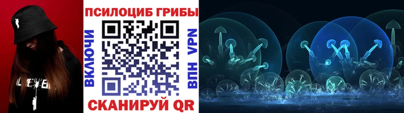 закладки  Каменск-Шахтинский  Галлюциногенные грибы GOLDEN TEACHER 